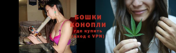 крисы Лабытнанги