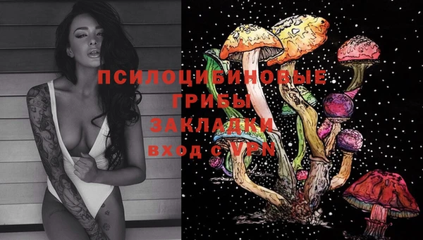 крисы Лабытнанги