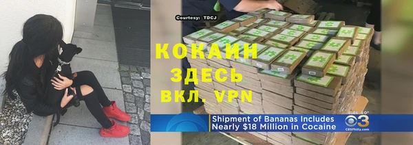 гидра Лагань