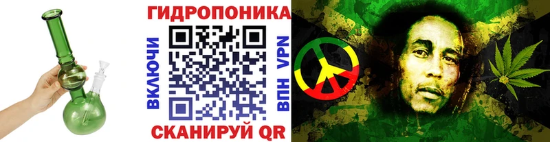 Бошки марихуана THC 21%  Южа 